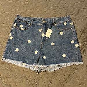 Embroidered Jean Short